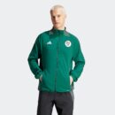 Veste Algérie Pre-match Tiro 24 Homme 2024/25 Vert