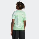 Maillot Italie Extérieur (Équipe féminine) Junior 2025/26 Vert