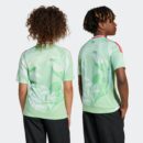 Maillot Italie Extérieur (Équipe féminine) Junior 2025/26 Vert
