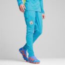 Pantalon Manchester City Training Homme 2024/25 Bleu Ciel