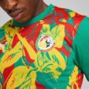 Maillot Sénégal Pre-match Homme 2025 Vert