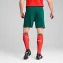Short Portugal Domicile Homme 2025/26 Vert