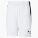 Short Puma Team Liga Blanc Homme 2022