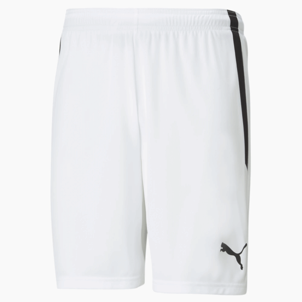 Short Puma Team Liga Blanc Homme 2022