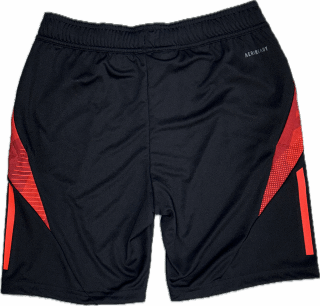 Short Olympique Lyonnais Training Tiro 24 Junior 2024/25 Noir - Image 3