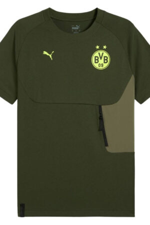 T-shirt Borussia Dortmund PumaTech Homme 2024/25 Vert