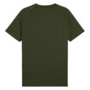 T-shirt Borussia Dortmund PumaTech Homme 2024/25 Vert