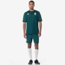 Maillot AS Monaco Extérieur Homme 2024/25 Vert ( W/O Sponsor )
