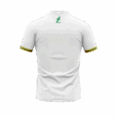 Maillot Sénégal Dkali Homme 2024/25 Blanc