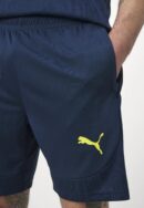 Short Fenerbahçe SK Training Homme 2024/25 Bleu