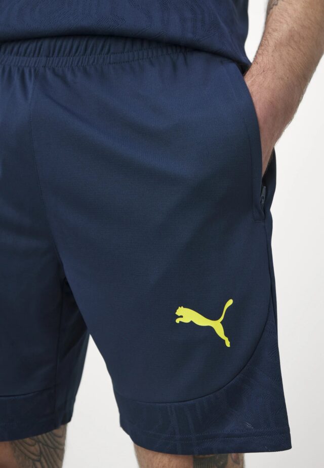 Short Fenerbahçe SK Training Homme 2024/25 Bleu - Image 3