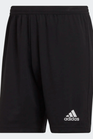 Short Adidas Training Entry 22 Homme