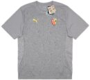 Maillot RC Lens Training Homme 2024/25 Gris