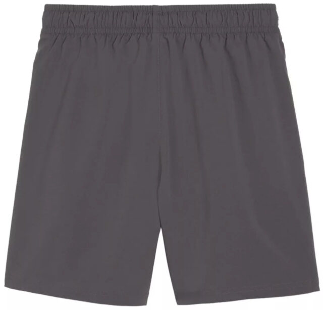 Short Borussia Dortmund Woven Homme 2023/24 Gris ( BVB ) - Image 3
