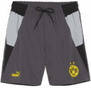 Short Borussia Dortmund Woven Homme 2023/24 Gris ( BVB )