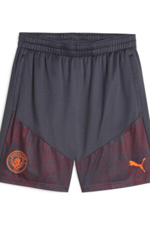 Short Manchester City Training Homme 2023/24 Gris