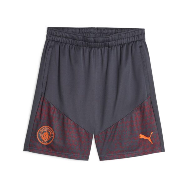 Short Manchester City Training Homme 2023/24 Gris