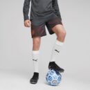 Short Manchester City Training Homme 2023/24 Gris
