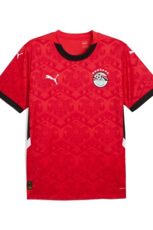 Maillot Egypte Domicile Homme 2024/25 Rouge