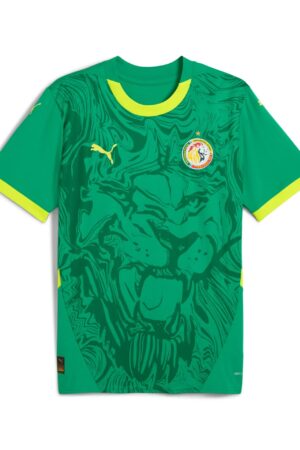 Maillot Sénégal Extérieur Homme 2025 Vert
