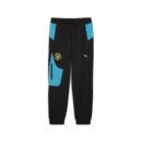 Pantalon Manchester City PUMATECH Homme 2024/25 Noir